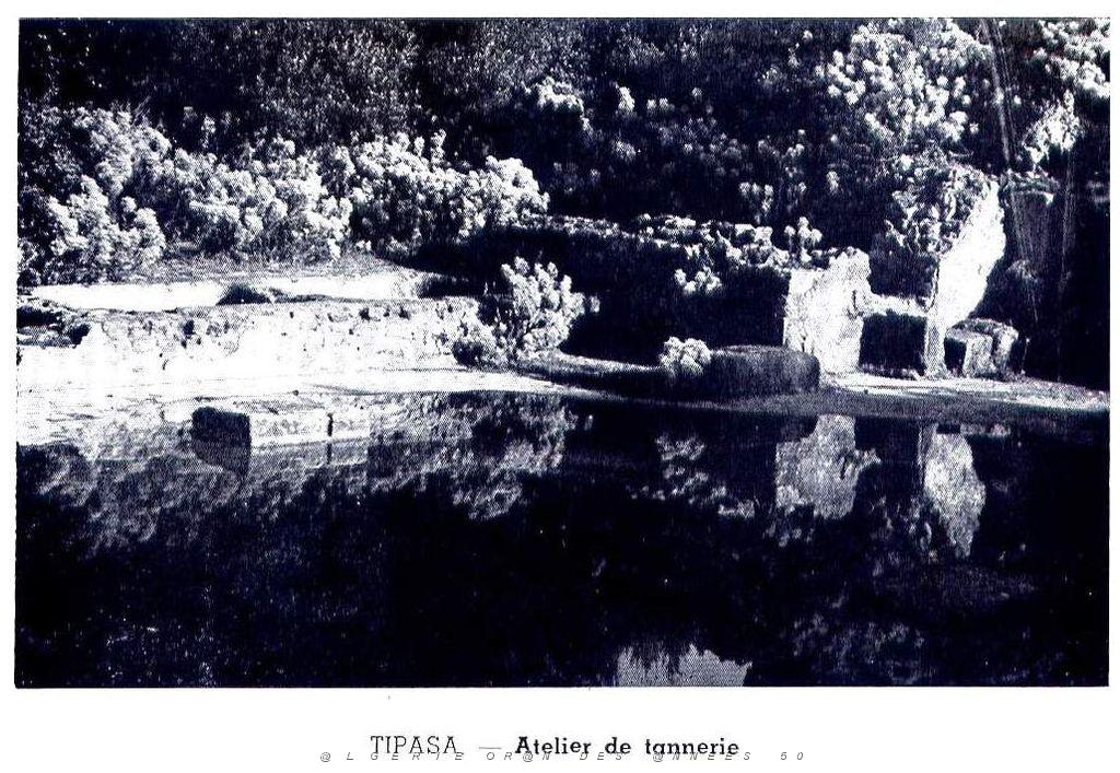 Villes Musees Algerie 090.jpg